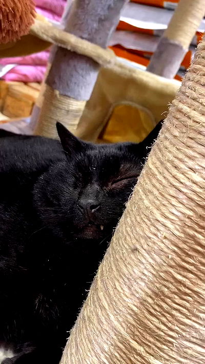 mishel116 mishel116 archive video