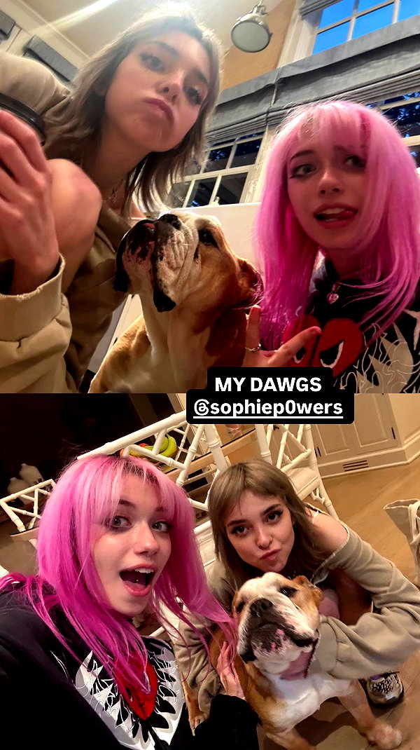 iluvmeww archive video preview