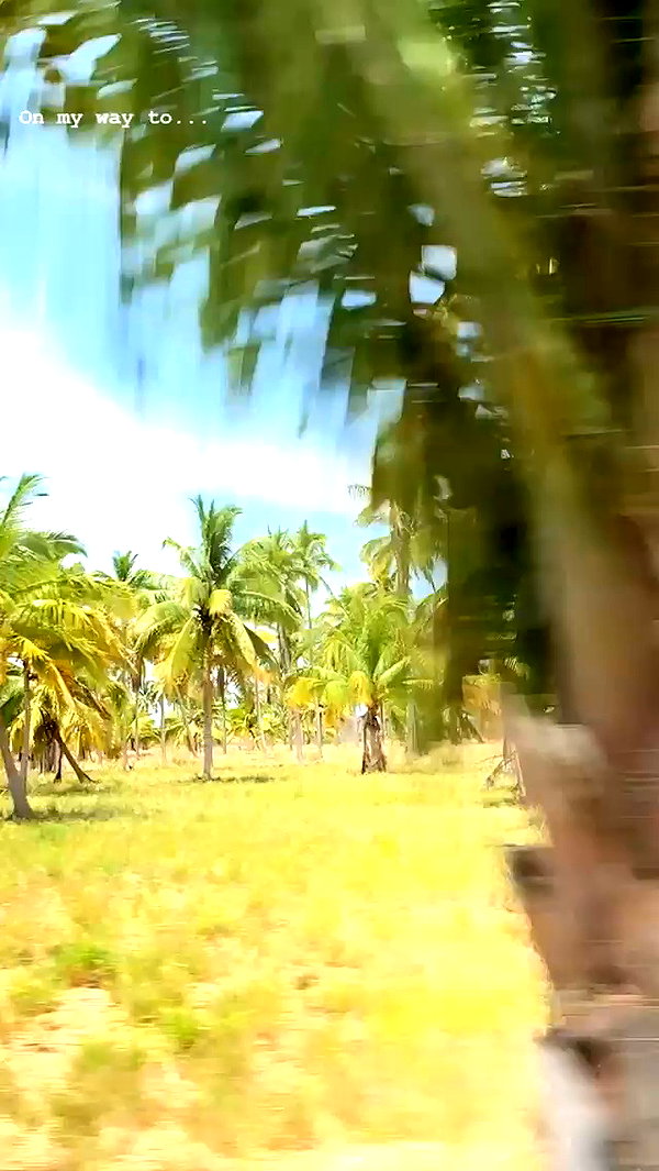 barzomer archive video preview