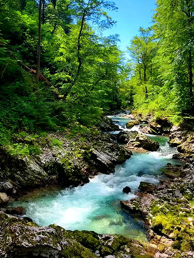 ellamwatts_ ellamwatts_ archive video