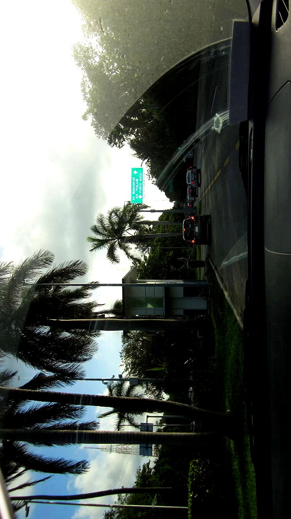 gissell_eli archive video preview