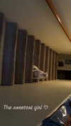 astarwbry_ Altpins Profile Picture