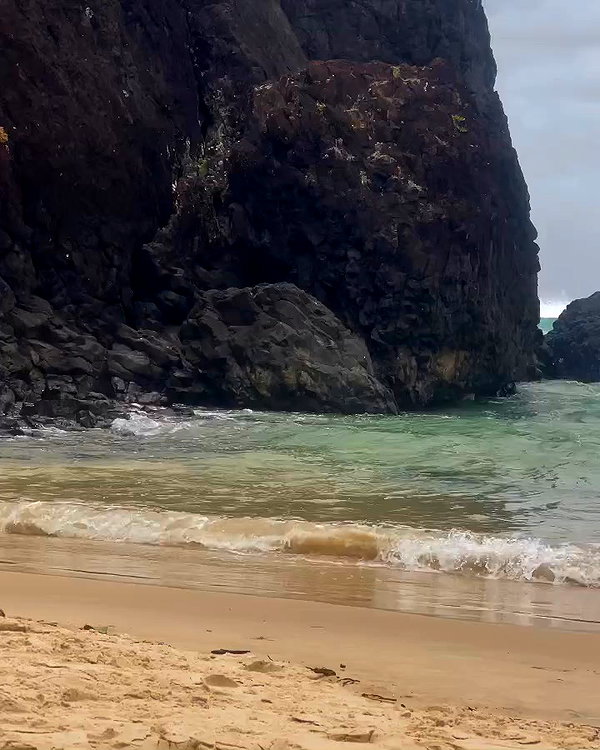 edenharper archive video preview