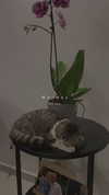 sonia_litvanchuk Altpins Profile Picture