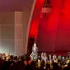 xtina Altpins Profile Picture