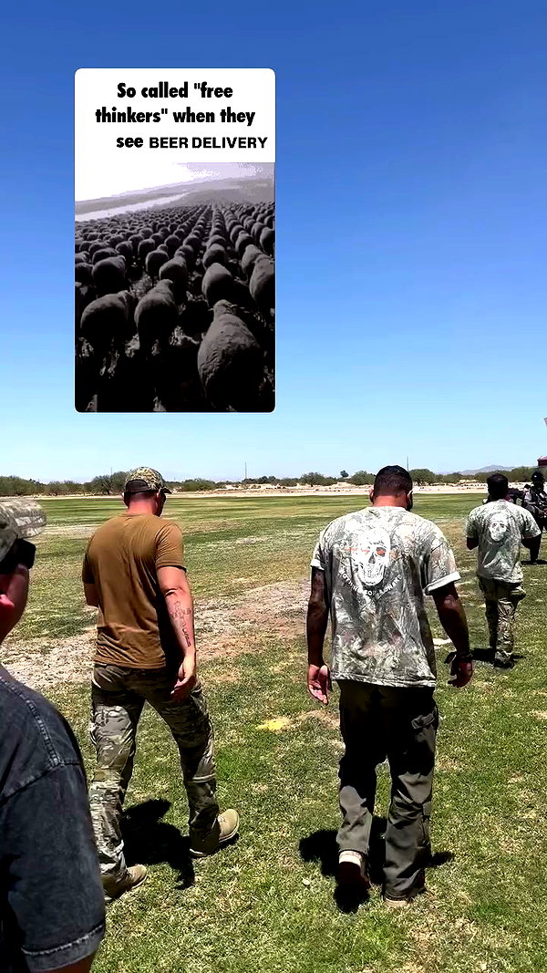 haylujan archive video preview