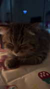 wannabeyourbabygirl Altpins Profile Picture