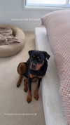 olivia.mathers Altpins Profile Picture