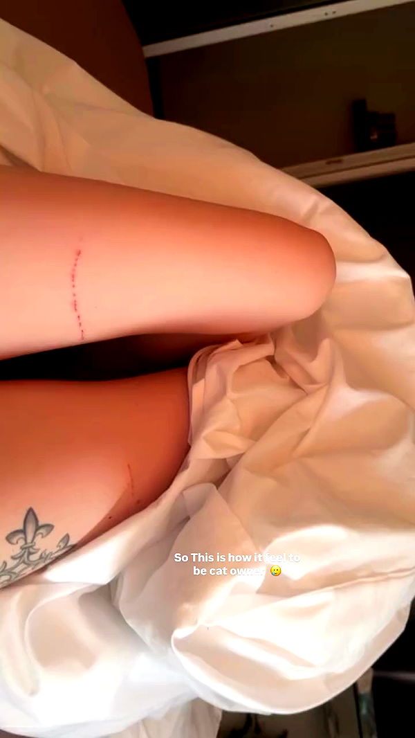 eliya.ho archive video preview