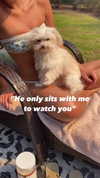 elizabethcampbelljones Altpins Profile Picture