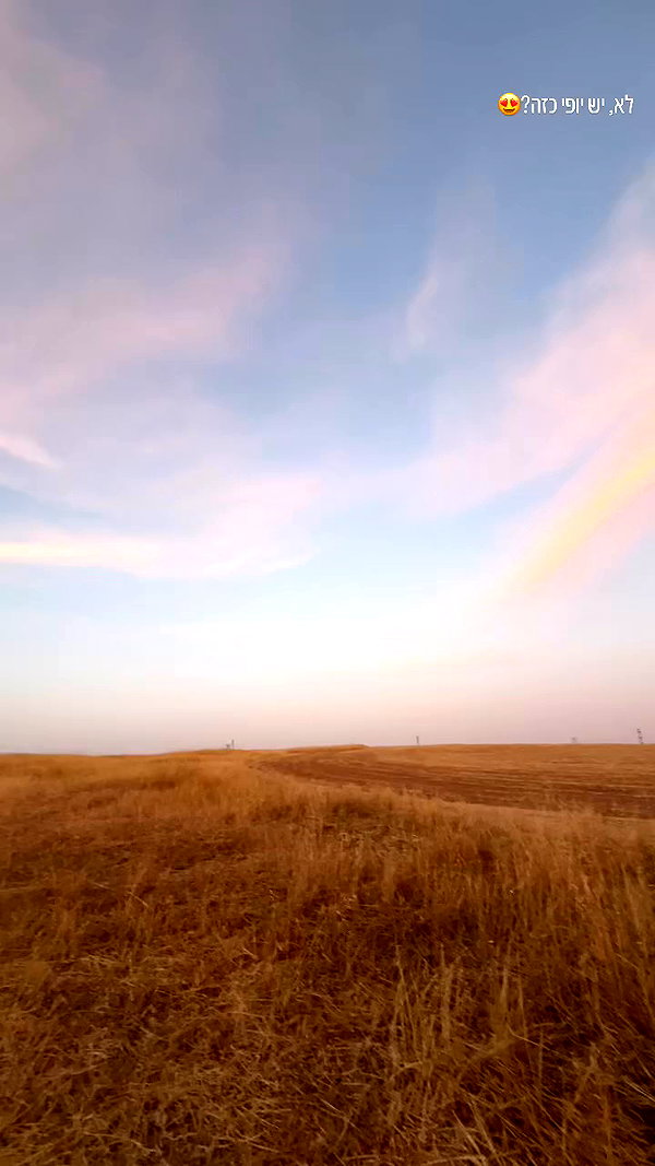 _.shelichka._ archive video preview