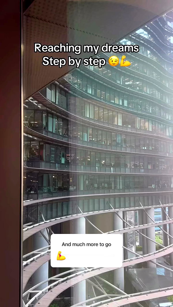 sapir_shemer archive video preview