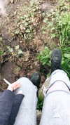 evasela__ Altpins Profile Picture
