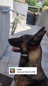 avital_1010.2003 Altpins Profile Picture