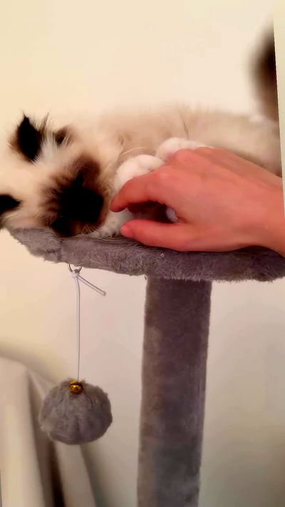 kasumi_sen kasumi_sen archive video