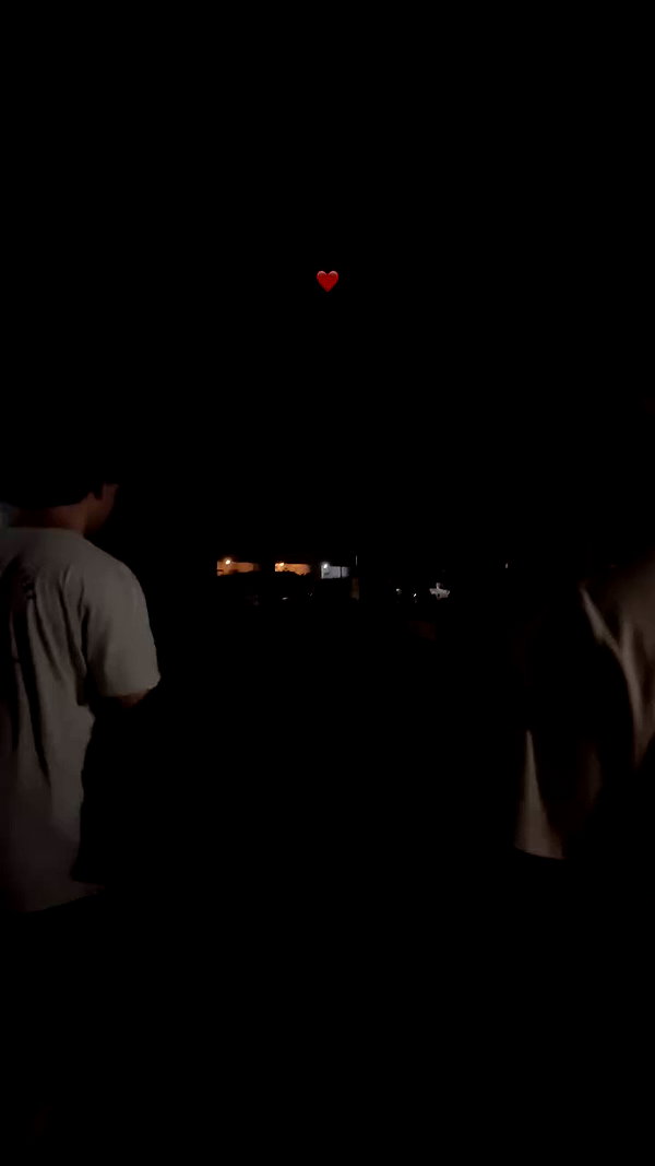_aldibernardo archive video preview