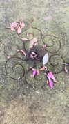 h111allyy Altpins Profile Picture