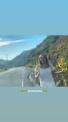 ch111oe Altpins Profile Picture
