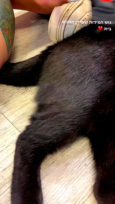 mishel116 mishel116 archive video