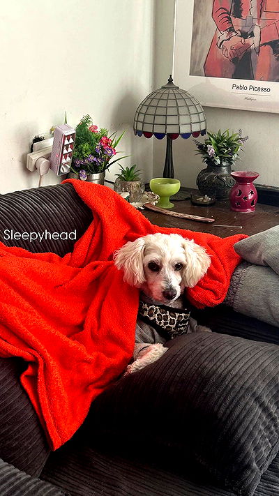 feelbetterinmysweater feelbetterinmysweater archive video