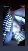 zommmbri Altpins Profile Picture