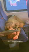 orman.mariee Altpins Profile Picture
