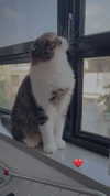 sonia_litvanchuk Altpins Profile Picture