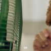 nestle_icecream_israel Altpins Profile Picture