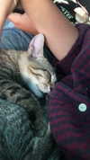 evasela__ Altpins Profile Picture