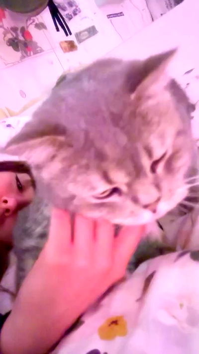 natalllluli natalllluli archive video