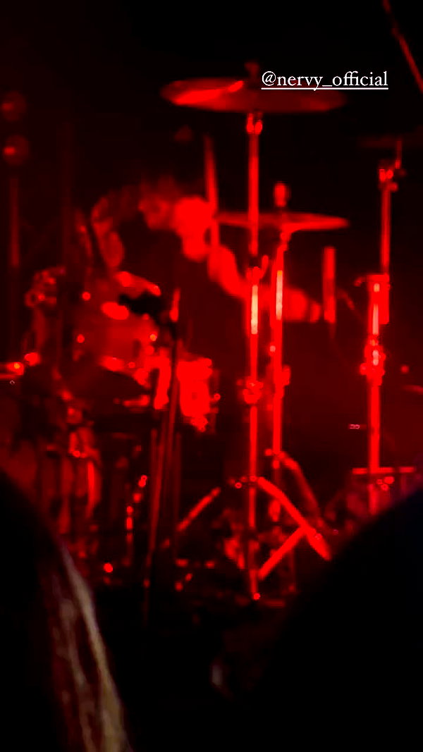 _allvi.pansk archive video preview