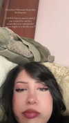 laurinchhhe Altpins Profile Picture