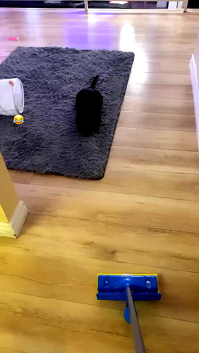 suikomuu suikomuu archive video