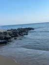 alma_ck_ Altpins Profile Picture