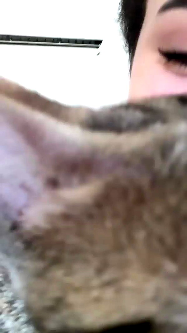 evasela__ archive video preview