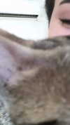 evasela__ Altpins Profile Picture