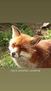 dollparts444 Altpins Profile Picture