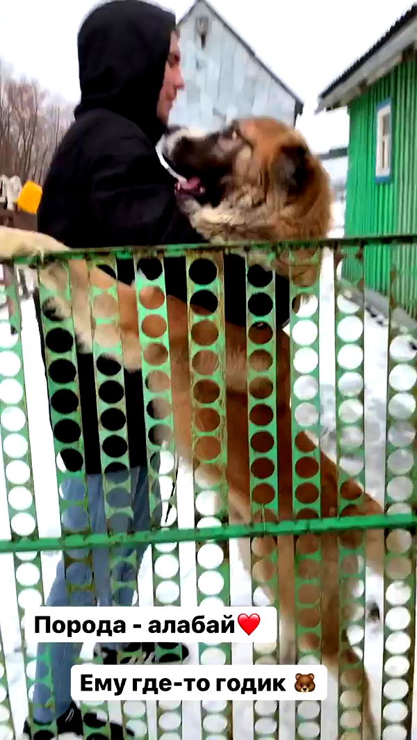 nyityam archive video preview