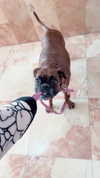 _lironatias Altpins Profile Picture