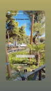 michal_cohen017 Altpins Profile Picture