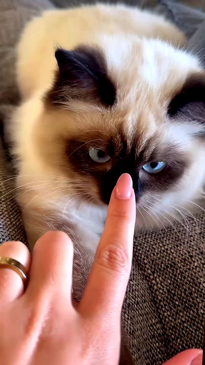 taylor.creeden taylor.creeden archive video