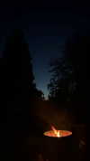 bat.wiings Altpins Profile Picture
