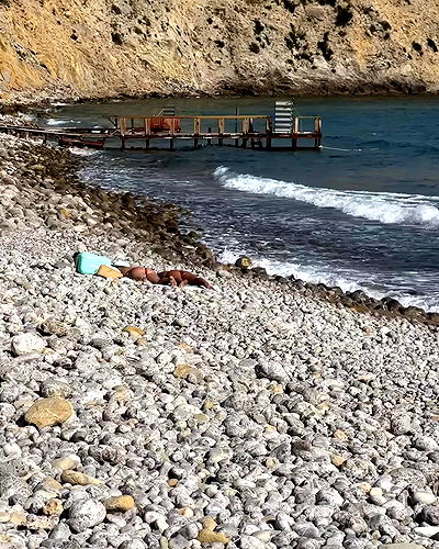 taylor.creeden taylor.creeden archive video