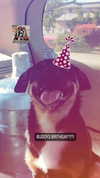 reanidays.cos Altpins Profile Picture