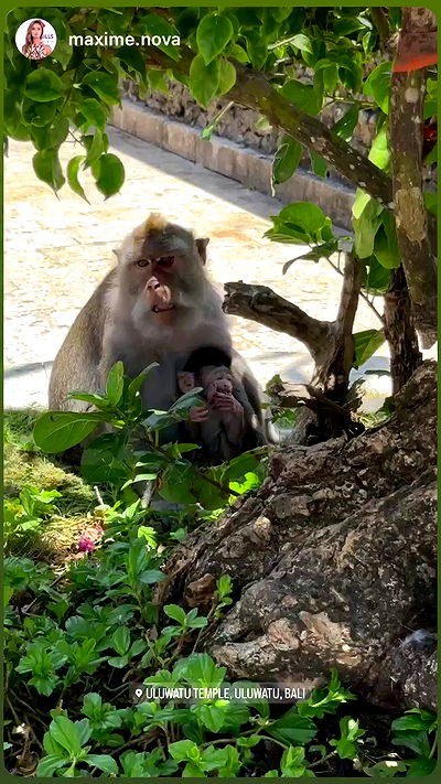 taylor.creeden taylor.creeden archive video