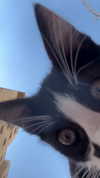 dante_yangpa Altpins Profile Picture