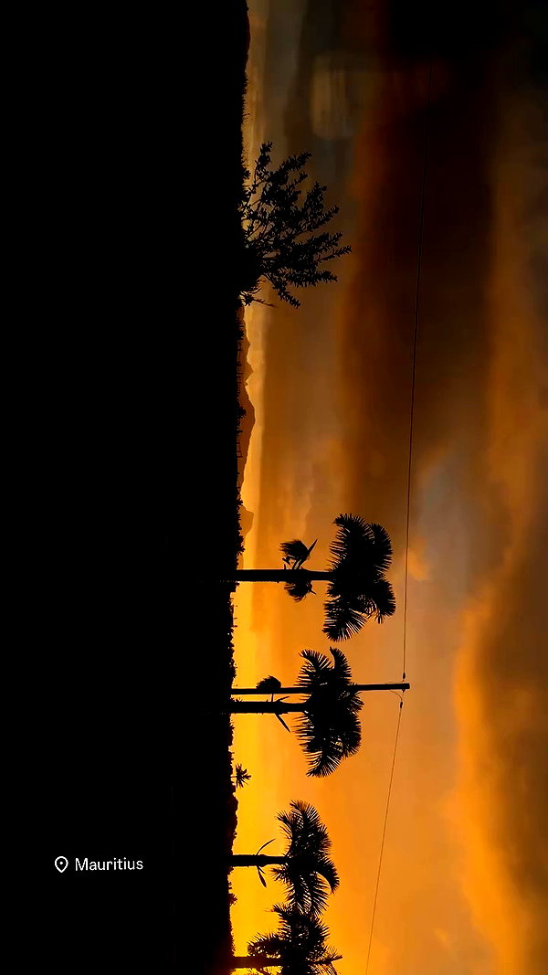 nina.kxs archive video preview