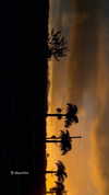 nina.kxs Altpins Profile Picture