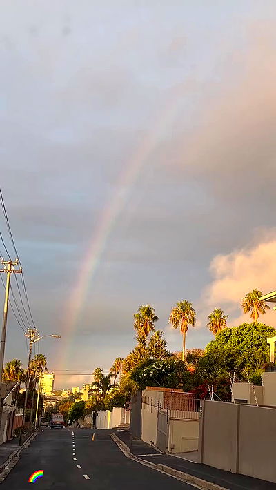 taylor.creeden taylor.creeden archive video