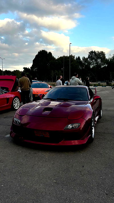 simp_for_cats_ simp_for_cats_ archive video